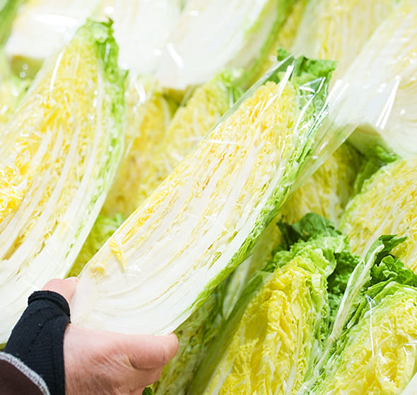 ”野菜の写真”